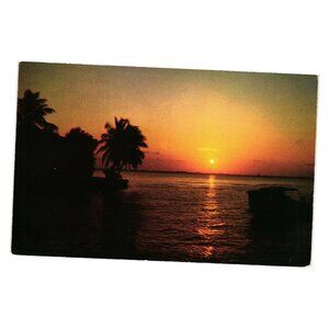Florida Sunset Postcard H W Hannau Photography Color Miami Beach FL Vintage